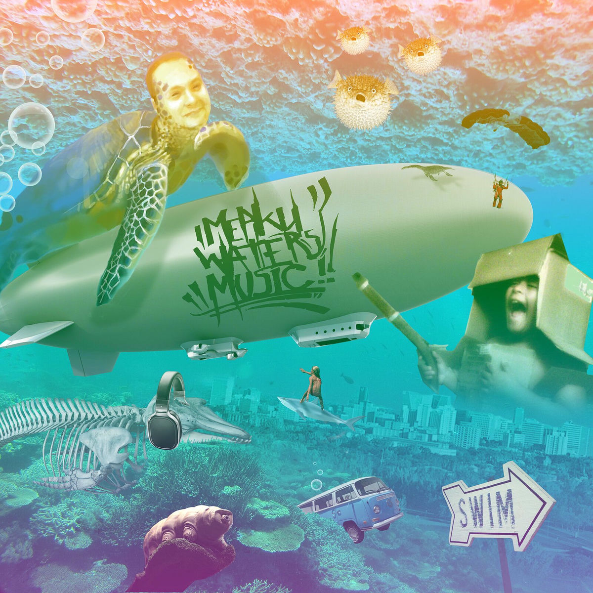 Album cover of Swim
