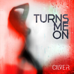 Cover of Turns Me On