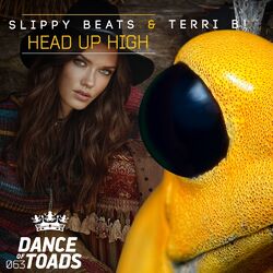 Cover of Head Up High