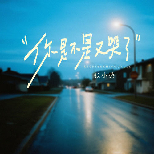 你是不是又哭了