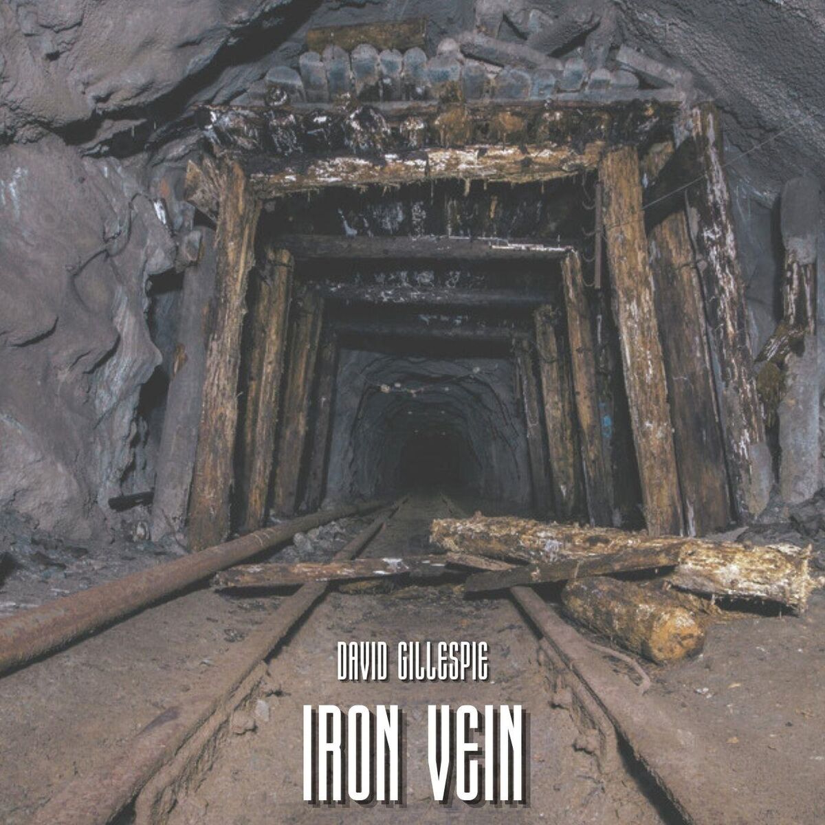 Album cover of Iron Vein