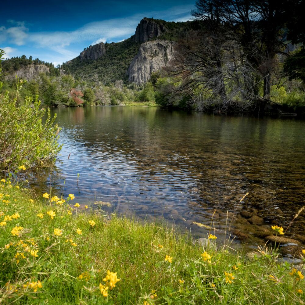Picture of Rhythms of Nature's Flow: Relaxing Music Water