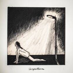 Cover of serpentine