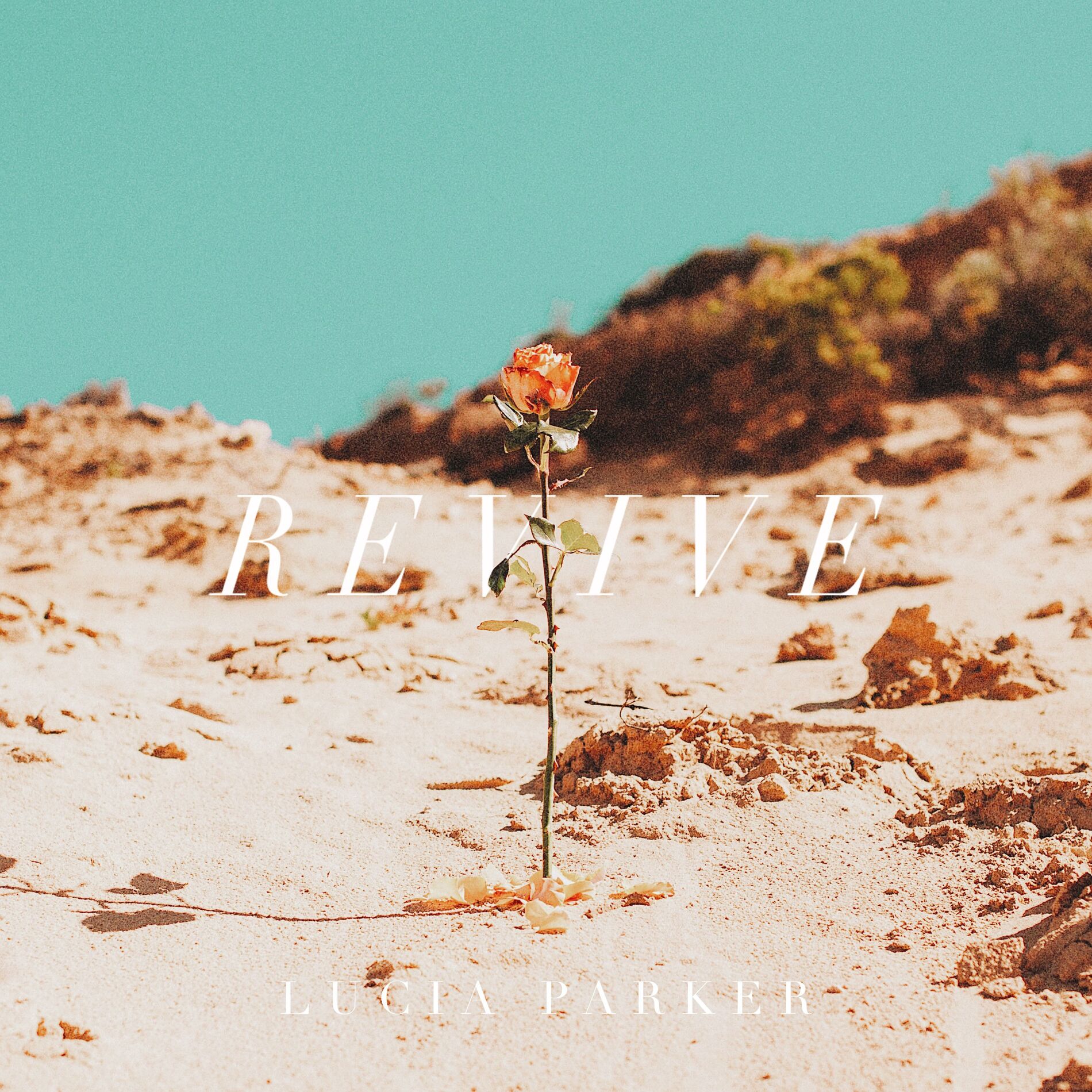 Album cover of Revive (Spanish Version)