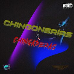 Cover of Chingonerías y Chingaderas