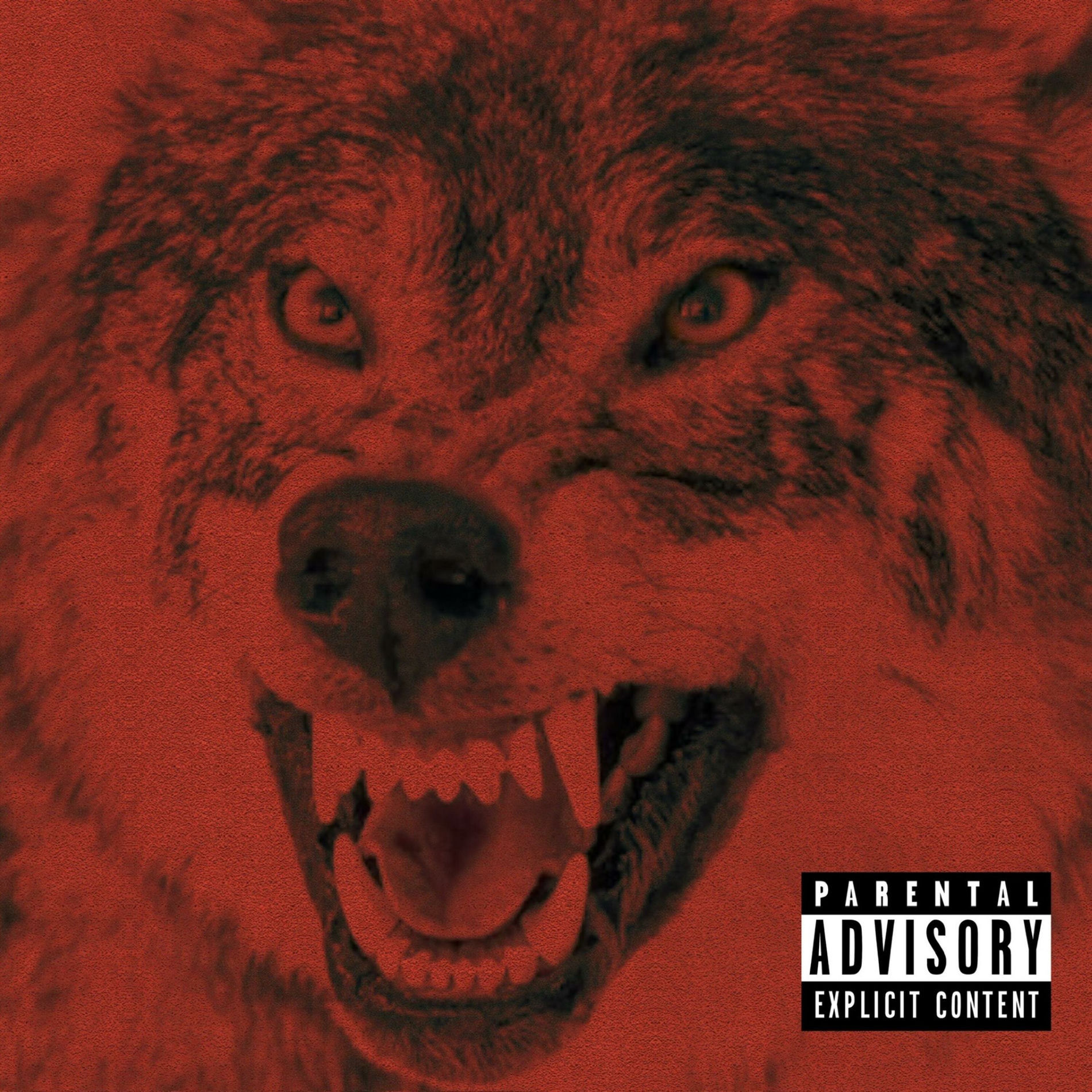 Do wolves bark more in captivity?