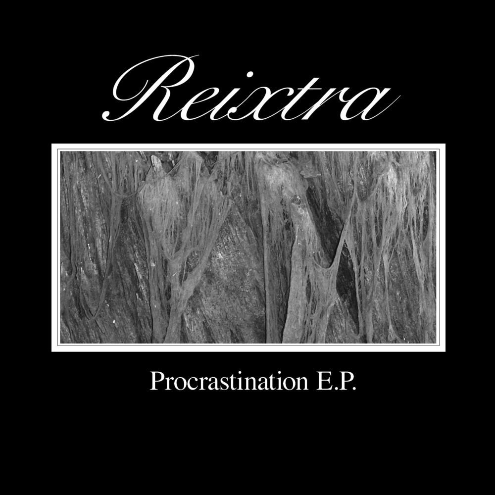 Picture of Procrastination E.P.