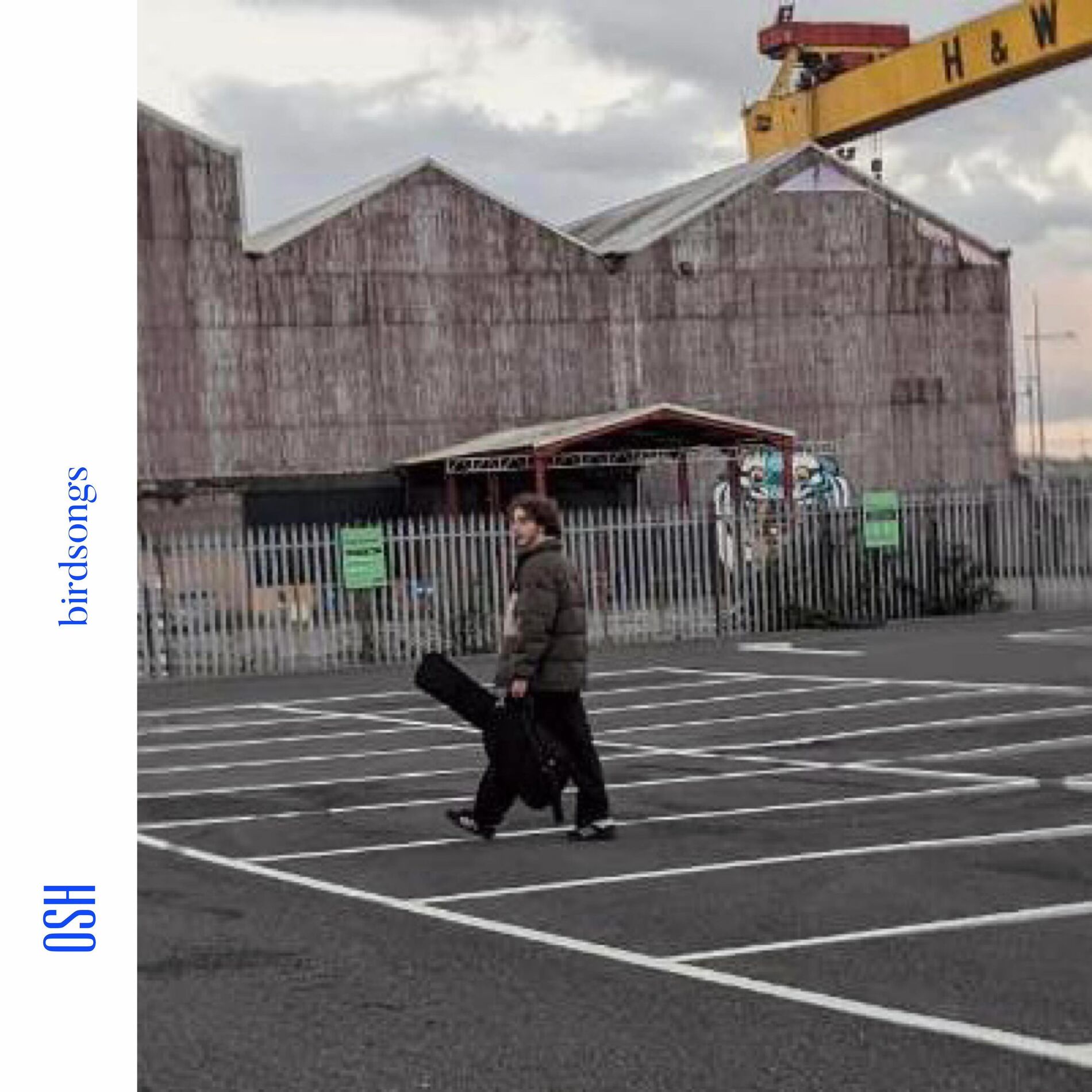 Album cover of Birdsongs
