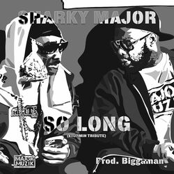 Cover of So Long (Stormin Tribute)
