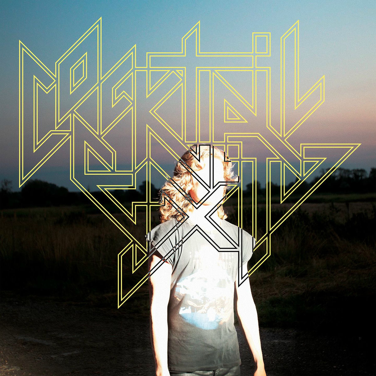 Album cover of Heavy Metal Disco Club