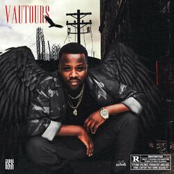 Cover of VAUTOURS