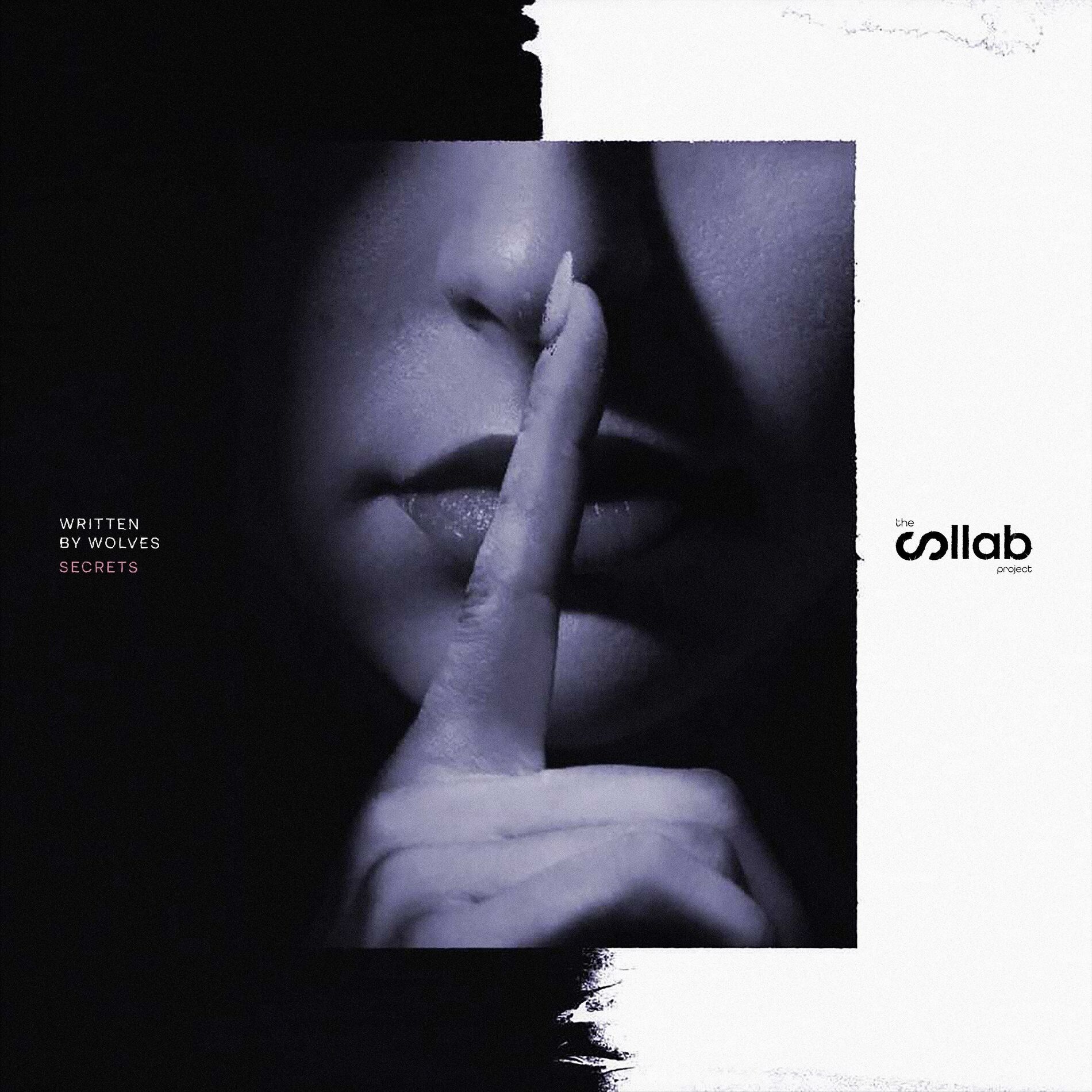 Album cover of The Collab Project / / Secrets
