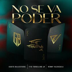 Cover of No Se Va Poder