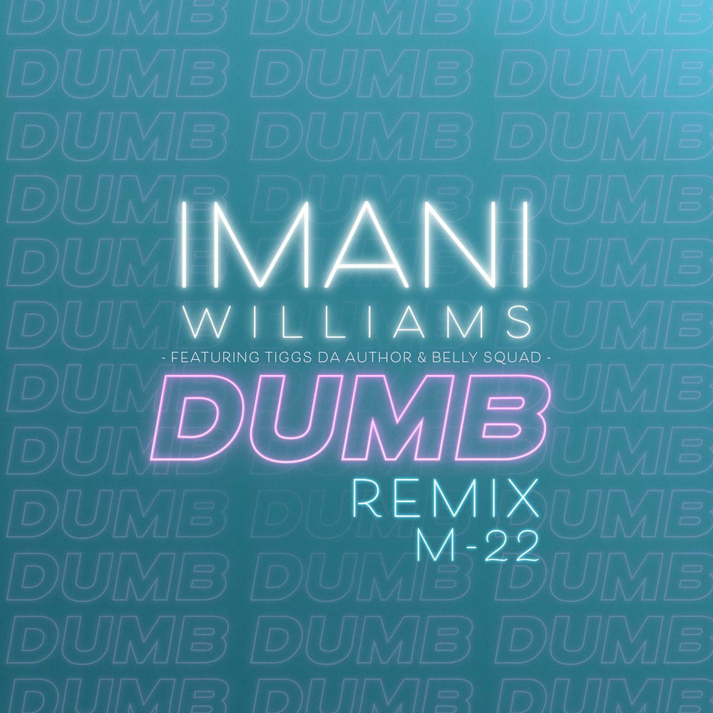 Picture of Dumb (feat. Tiggs Da Author & Belly Squad) (M-22 Remix)