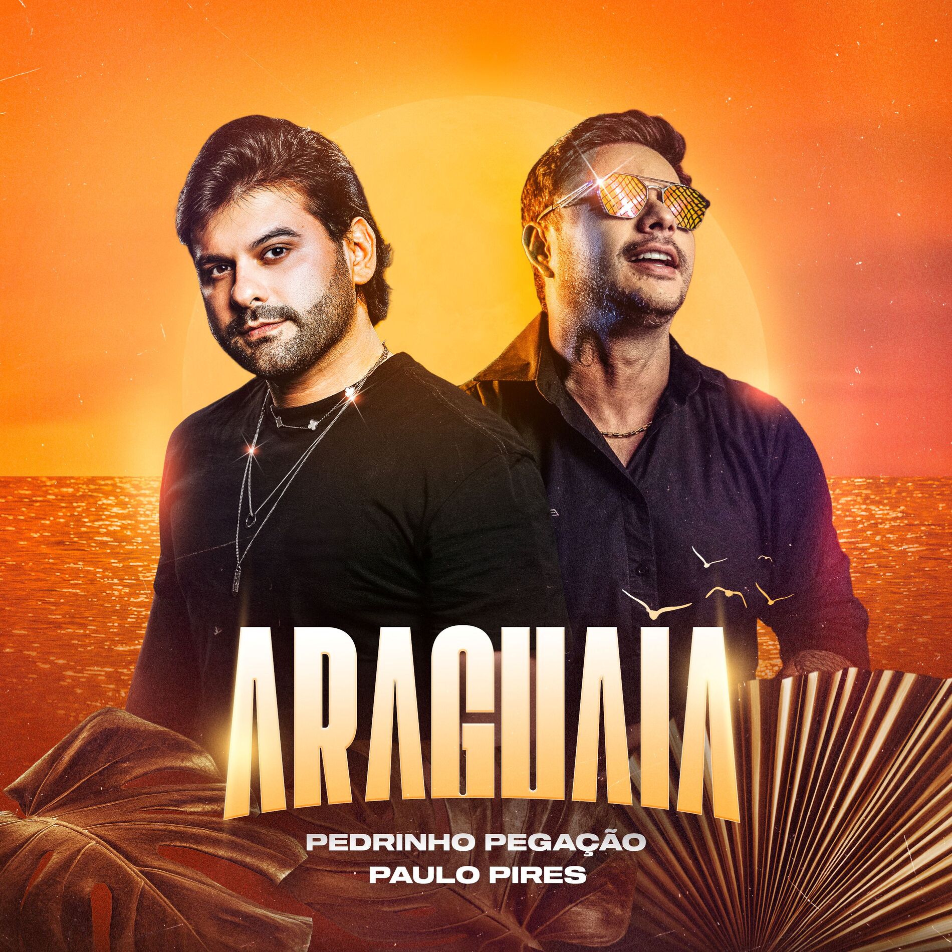 Album cover of Araguaia