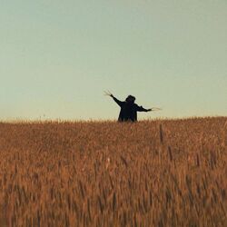 Cover of "The Moon & the Scarecrow"