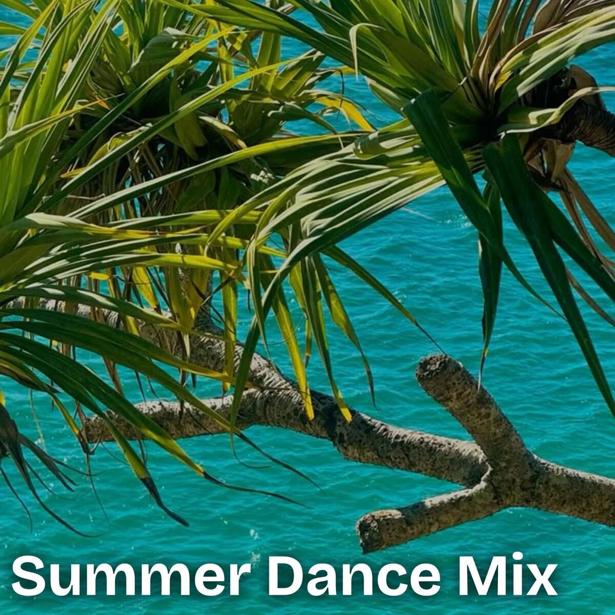Album cover of Summer Dance Mix