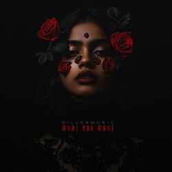 What You Want