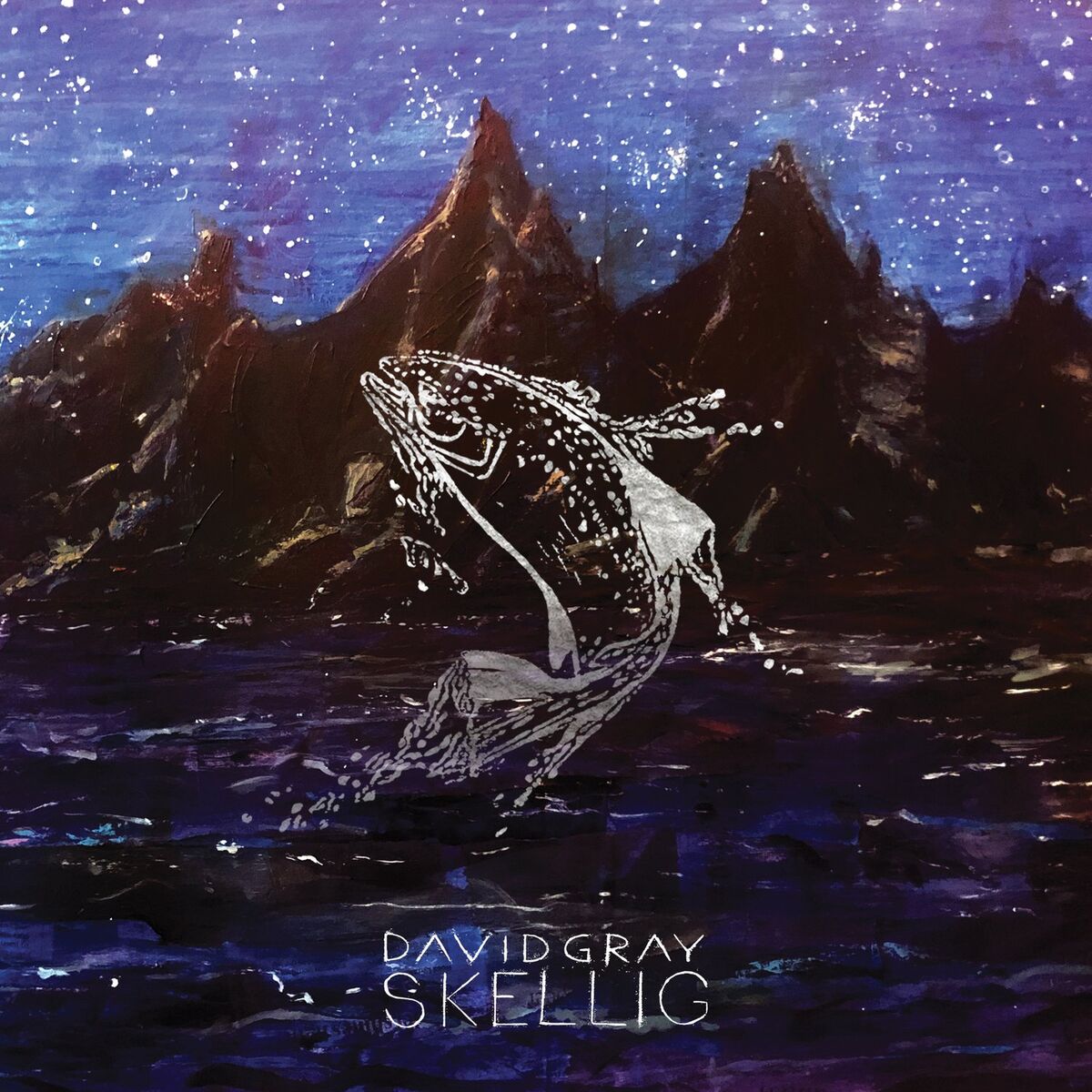 Album cover of Skellig