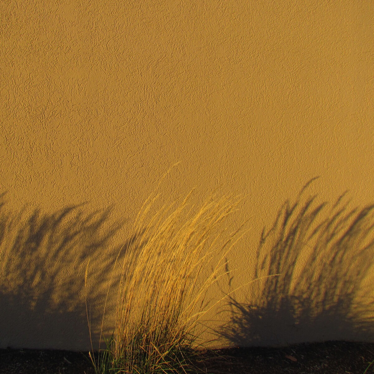 Album cover of Fen