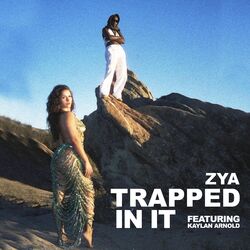 Cover of Trapped In It