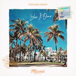 Cover of Slow It Down