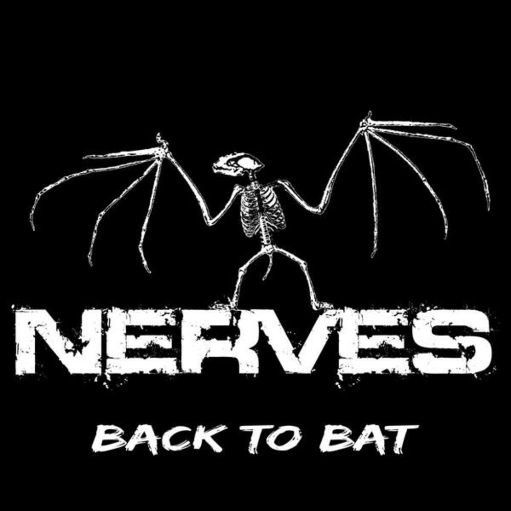 Picture of Back to Bat