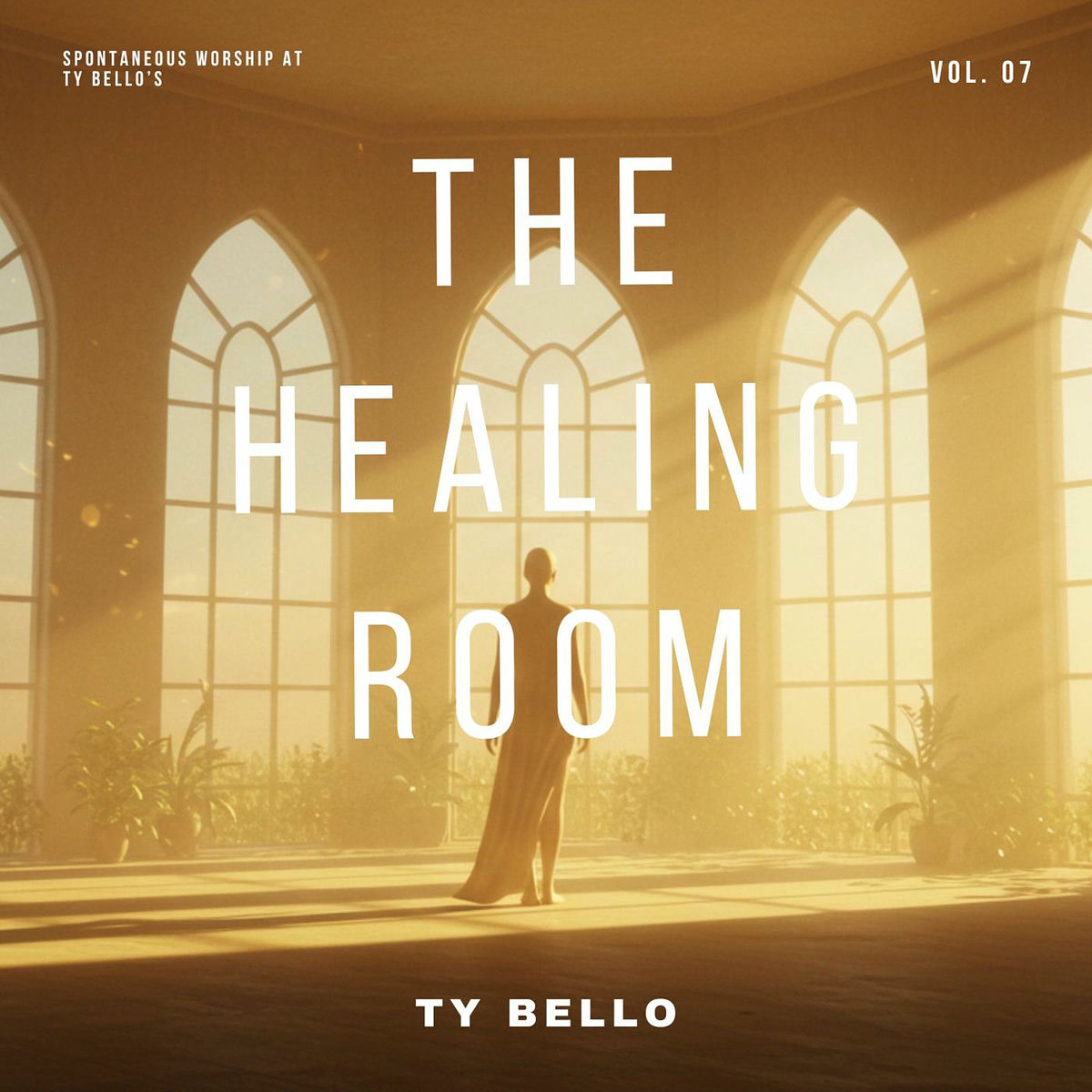 Album cover of The Healing Room (Spontaneous Worship at Ty Bello's, Vol. 7)