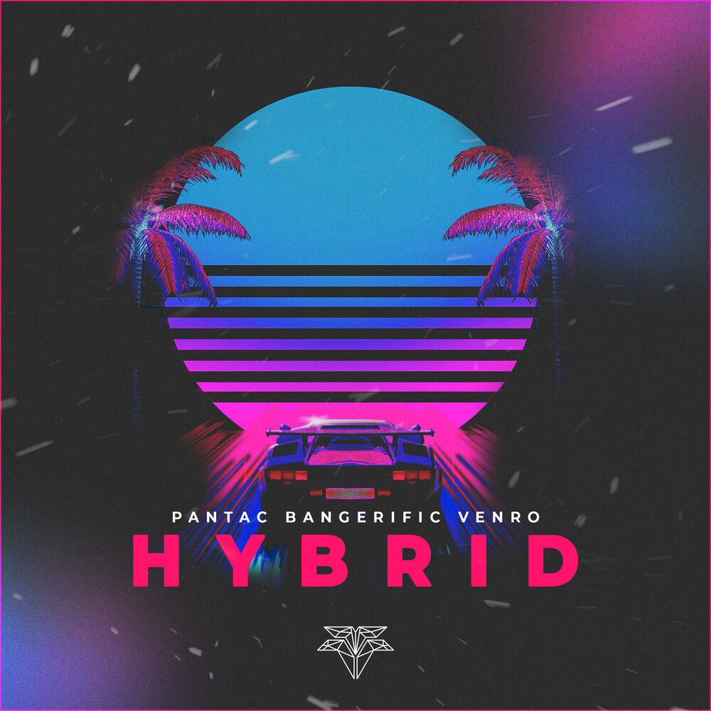 Picture of Hybrid