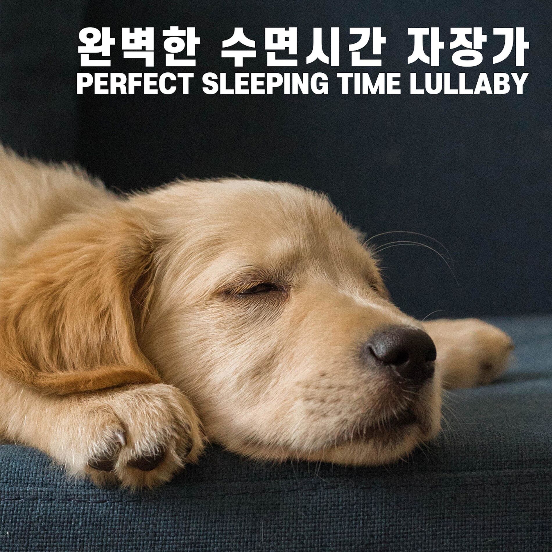 Album cover of Perfect sleeping time lullaby
