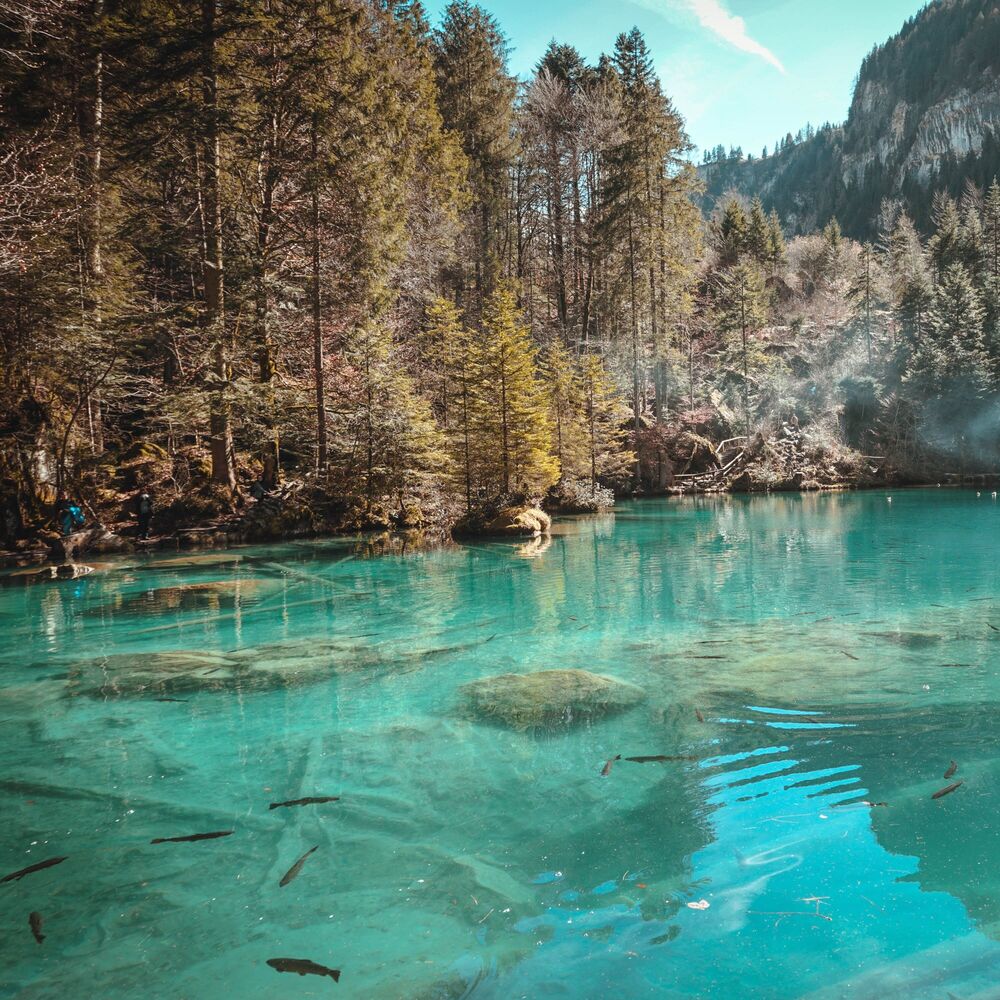 Picture of Soothing Sounds for Spa