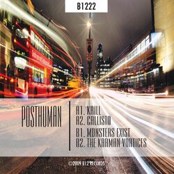 Cover of Monsters & Vortices
