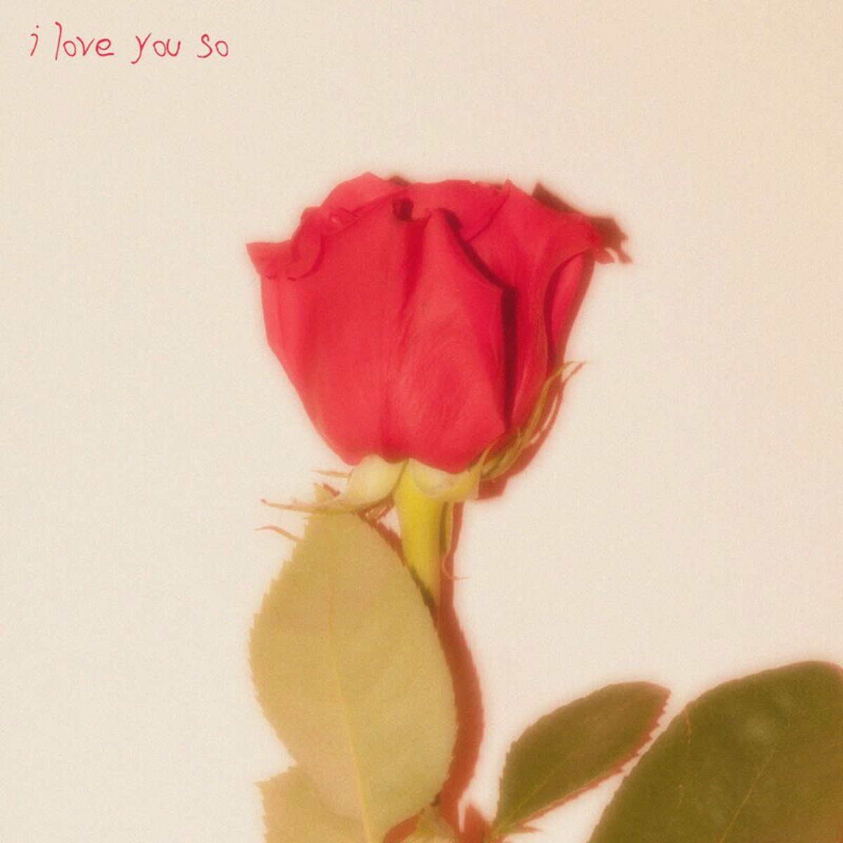 Album cover of I Love You So