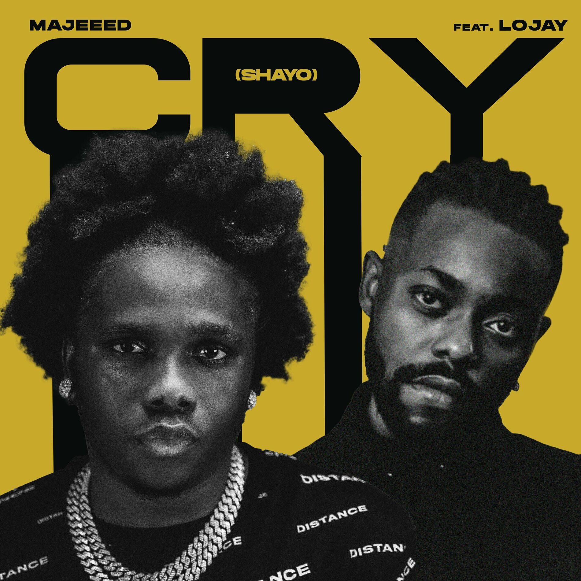 Album cover of Cry (shayo)
