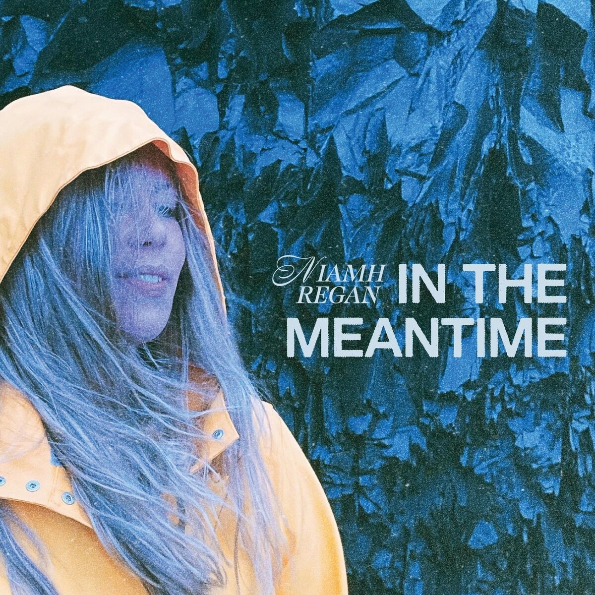 Album cover of In the Meantime
