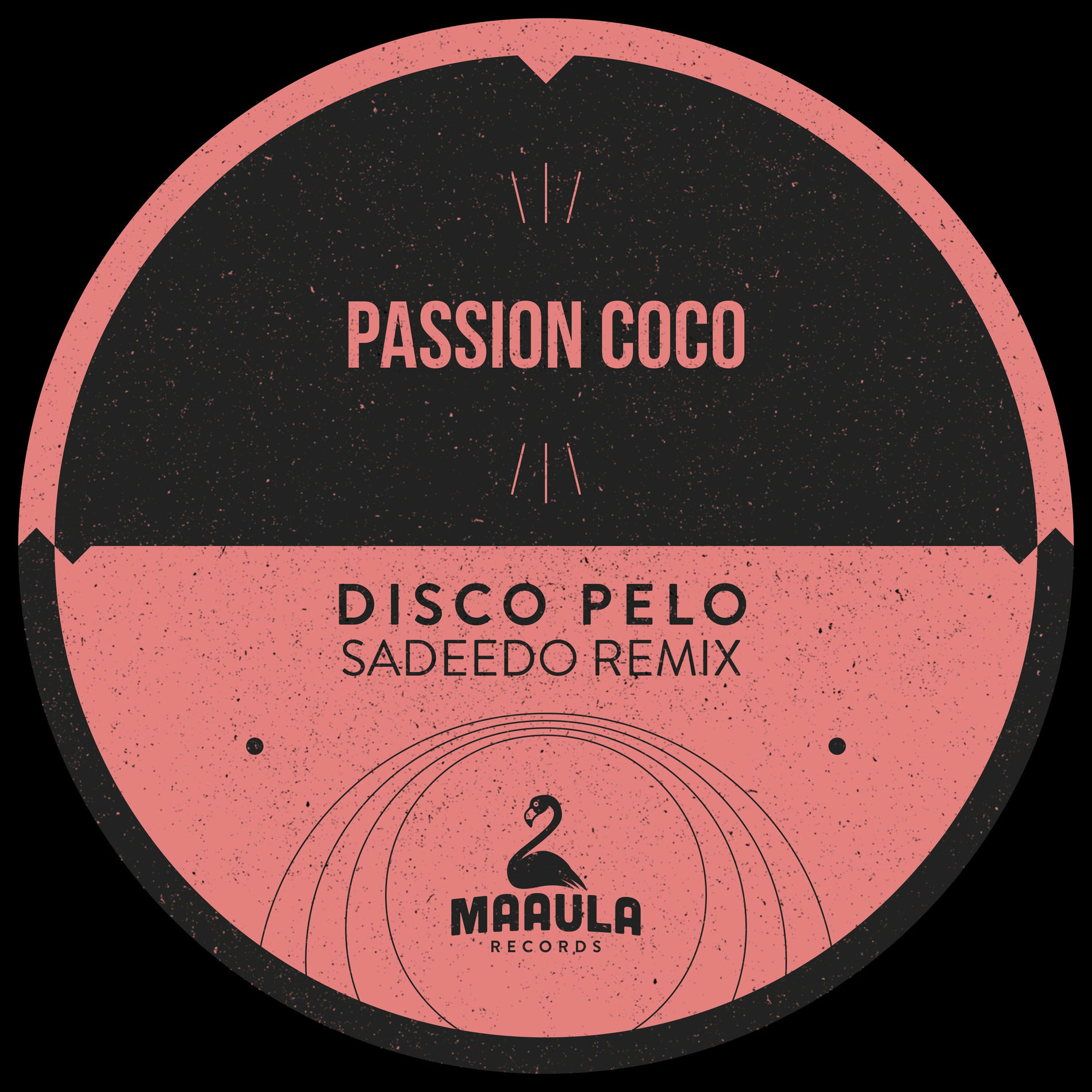 Album cover of Disco Pelo (Sadeedo Remix)