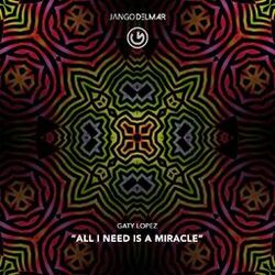 Cover of All I Need Is a Miracle