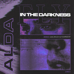 Cover of Fly In The Darkness