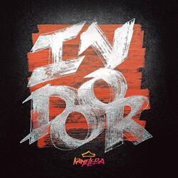 Cover of Indoor