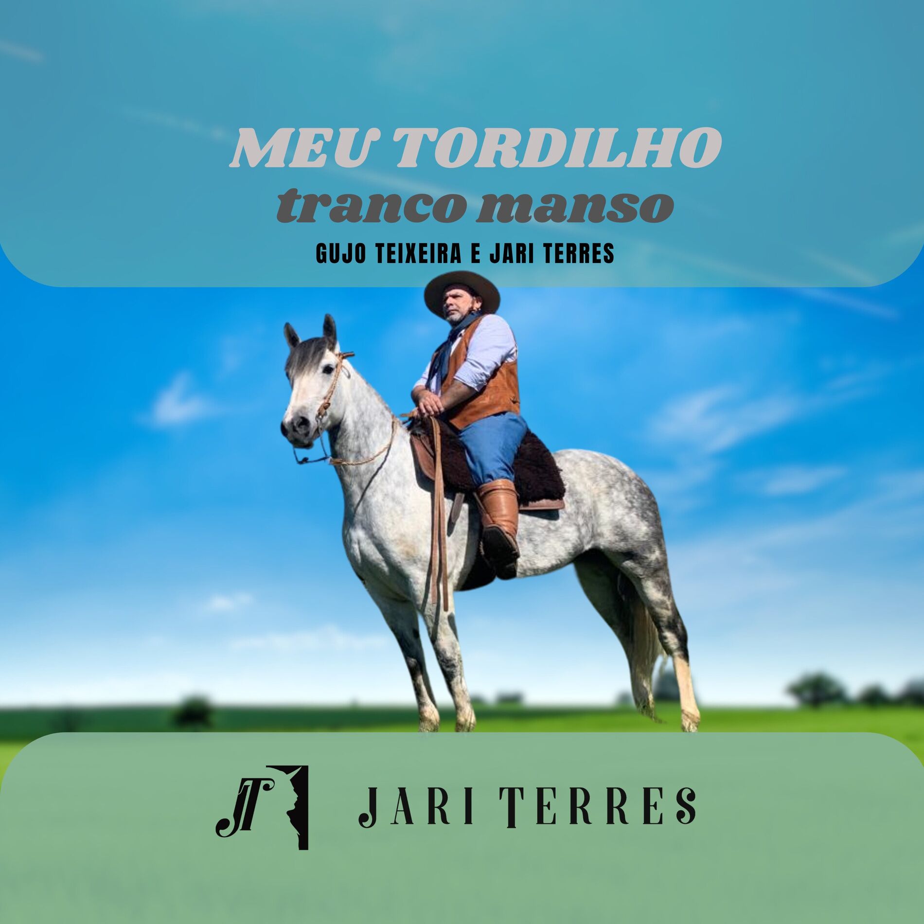 Album cover of Meu Tordilho Tranco Manso