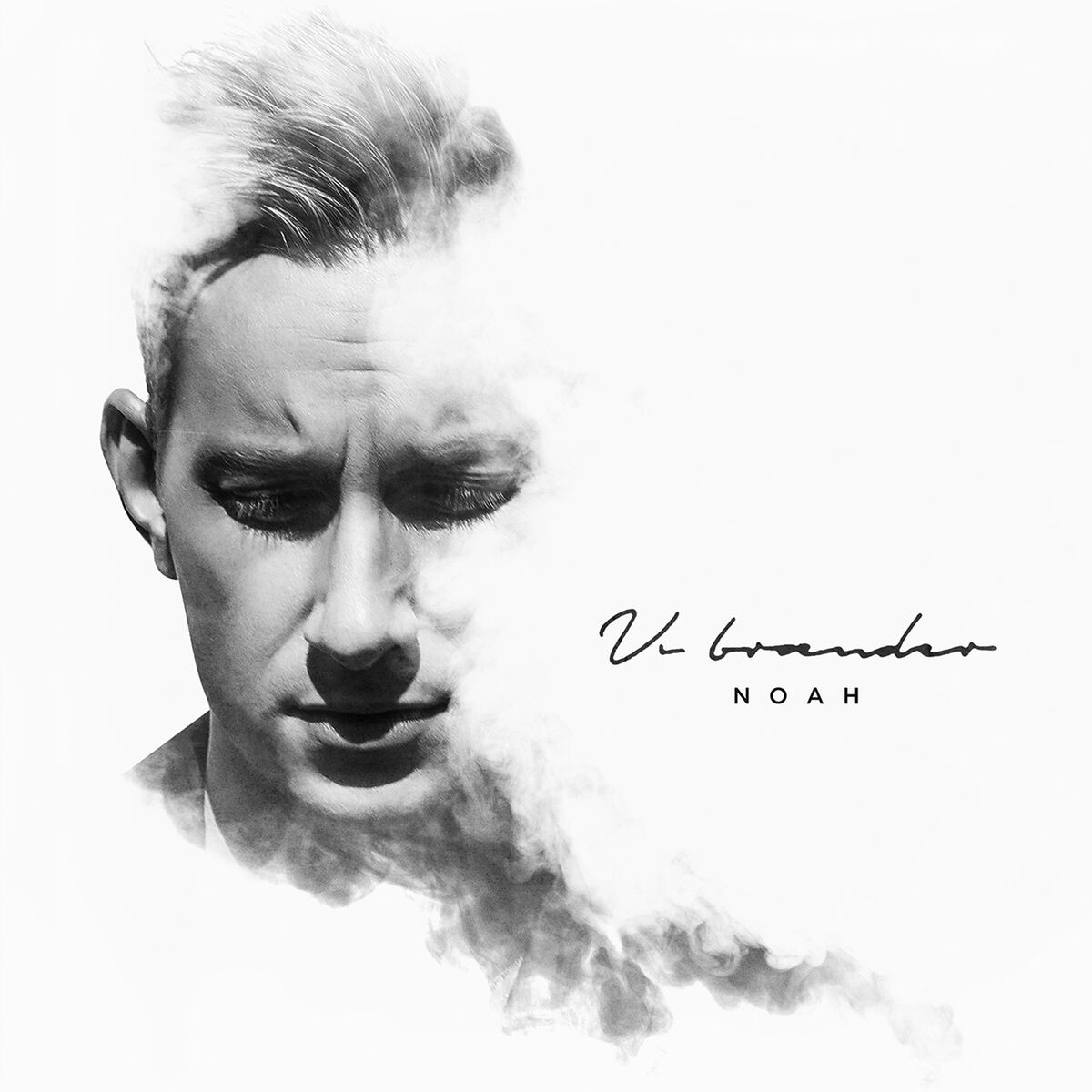Album cover of Vi Brænder