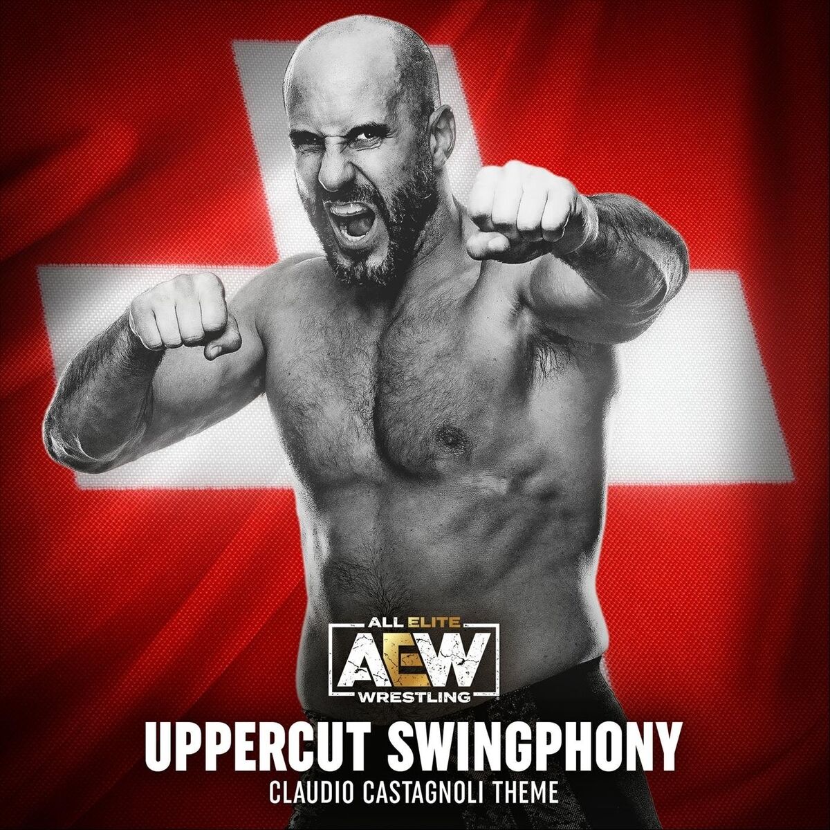 Album cover of Uppercut Swingphony (Claudio Castagnoli Theme)