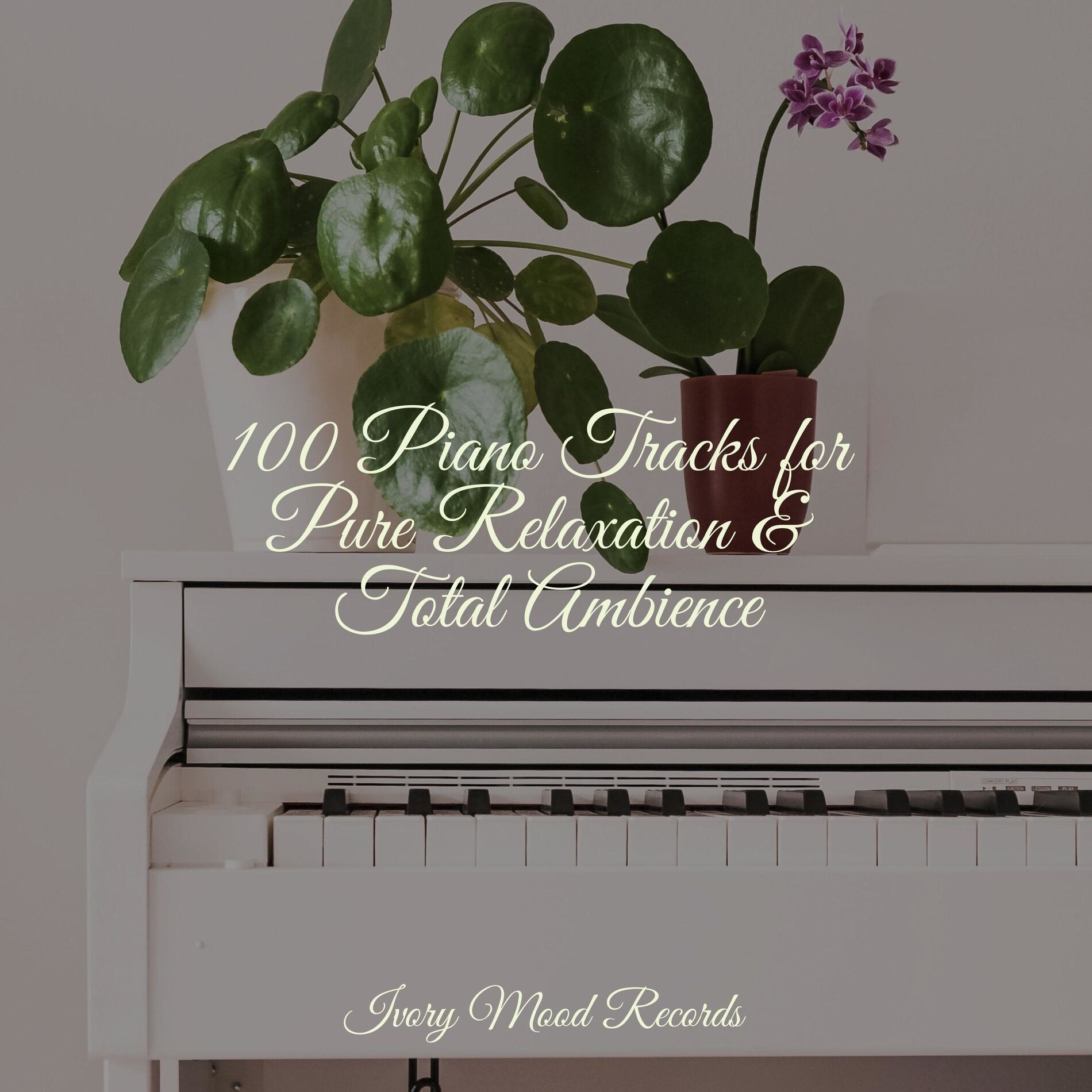 Album cover of 100 Piano Tracks for Pure Relaxation & Total Ambience