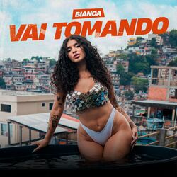 Cover of Vai Tomando