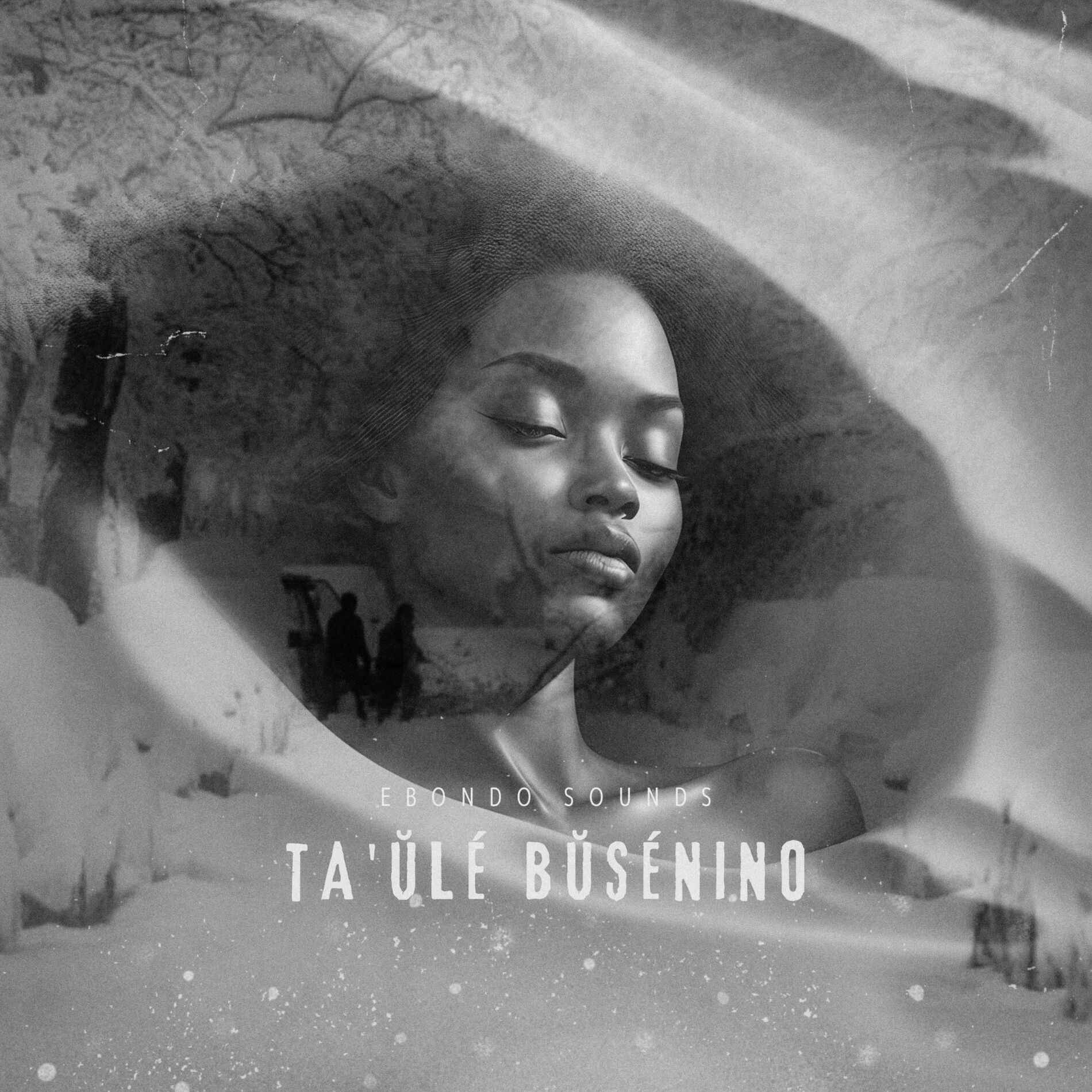 Album cover of Ta'ùlé Bùsénino