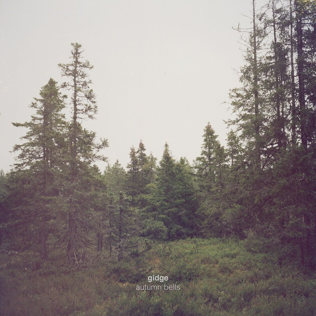 Album cover of Growth