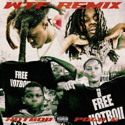 Cover of WTF (Remix)