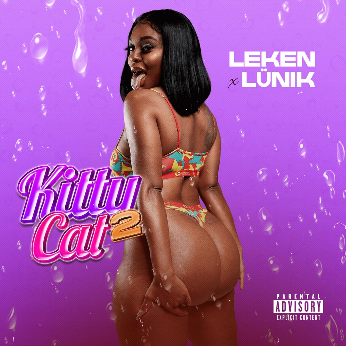 Album cover of Kitty Cat 2