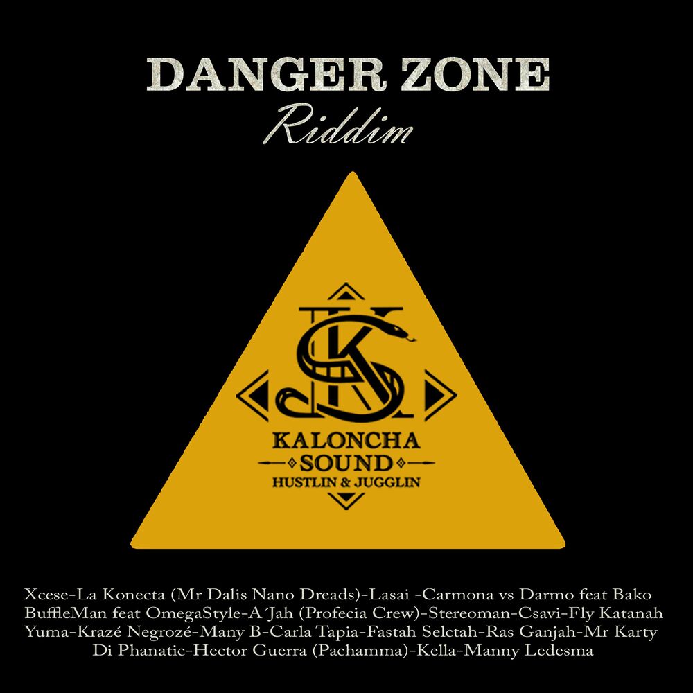 Picture of Danger Zone Riddim