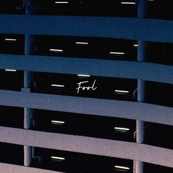 Cover of Fool